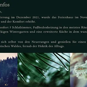 Ferienhaus Bayerischer Wald, Regen