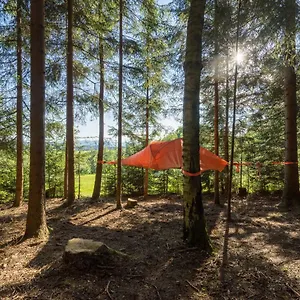 Luxuszelt Baumzelt Am Waldesrand, Regen